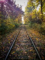 Obraz premium Railroad rails in autumn with sunshine