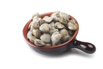 Fresh raw Clam close up on white