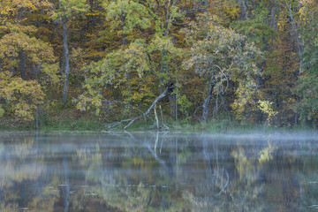 Lake Maria In Autumn