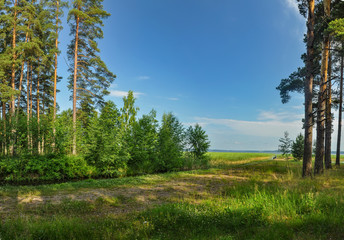 Obraz premium Sunny morning on lake
