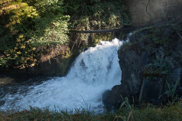 Lower Tumwater Falls 2