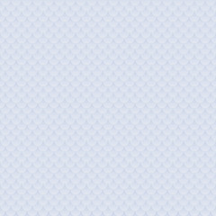 Fototapeta premium scale seamless 2