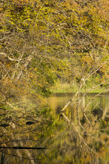 Lake Maria In Autumn