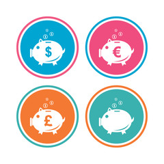 Piggy bank icons. Dollar, Euro and Pound moneybox signs. Cash coin money symbols. Colored circle buttons. Vector