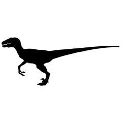 Obraz na płótnie Canvas Black vector illustration silhouette of velociraptor