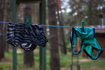Pair of women's panties drying on rope in the woods. Active wash
