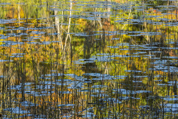 Autumn Lake Reflections