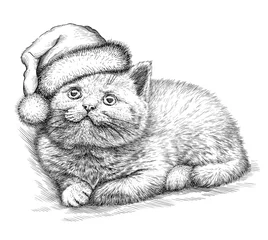 Türaufkleber Katze, schwarz-weiß gravieren. Weihnachtsmütze. © doublebubble_rus
