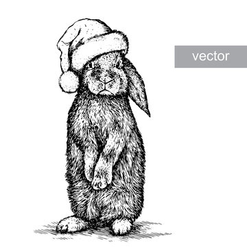 Rabbit, Black And White Engrave. Christmas Hat. Vector