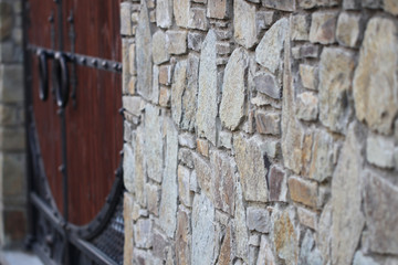 Forest trees. nature green wood backgrounds