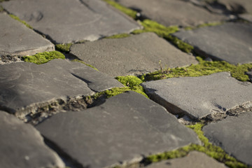 Stone road texture