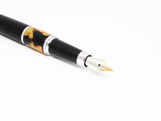 Naklejka premium Pen