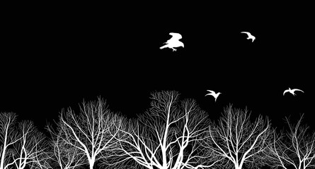 bare trees branches and birds isolated on black