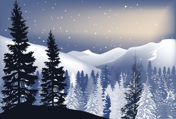 winter fir forest in snow hills