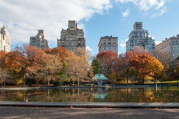 View of Manhttan buildings from Central Park, New York - obrazy, fototapety, plakaty