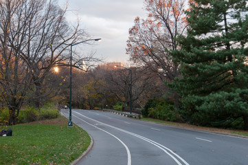 Fototapeta premium Paved road on Central Park, New York