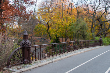 Paved bridge in Central Park, New York