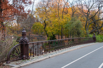 Obraz premium Paved bridge in Central Park, New York