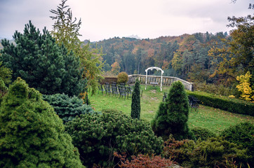 Wedding arch and the chairs on the viewpoint in the autumn