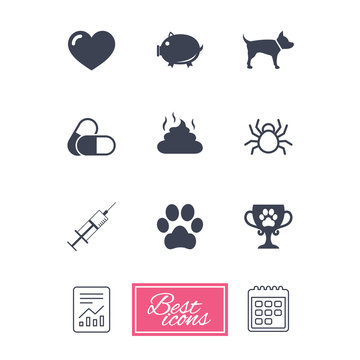 Veterinary, pets icons. Dog paw, syringe and winner cup signs. Pills, heart and feces symbols. Report document, calendar icons. Vector