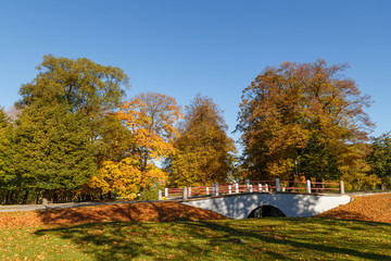 Beautiful landscape - autumn park