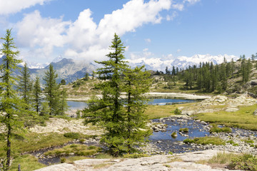 Obraz premium Alpine landscape with lake, mountains and fir trees