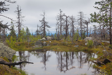 Lake on Mountain of the Vottovaara in Karelia,  Russia