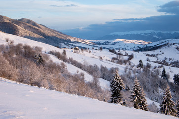 Snow covered mountain slope with a large fir with cones against the backdrop of wooden houses at dawn. Winter mountain landscape.