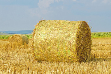 Agricultural landscape of hay bales in a golden field