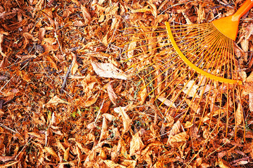 Heap of fall leaves with fan rake on lawn, closeup