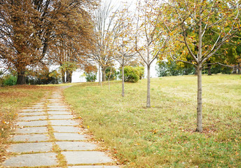 Long pathway in autumn park