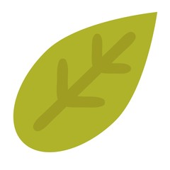 Fototapeta premium Leaf icon vector illustration.