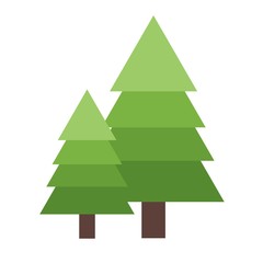 Christmas tree spruce