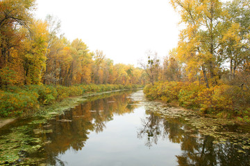 Fototapeta na wymiar River in autumn park