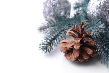 Composition of cone and coniferous branch on white background, close up view