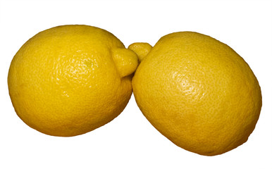Two yellow whole unpeeled lemons