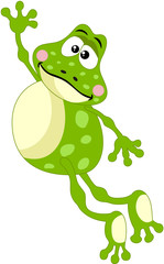 Cute frog jumping
