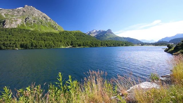 Clear Silvaplanersee with Swiss Alps in the background. Silvaplanersee is a lake in the Upper-Engadine valley of Grisons, Switzerland, Europe. 
