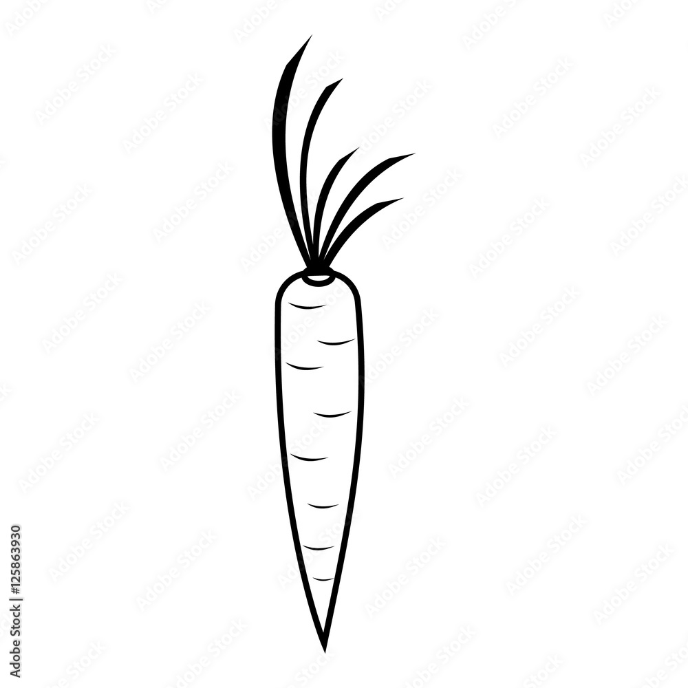 Wall mural carrot icon. outline illustration of carrot vector icon for web - Wall murals