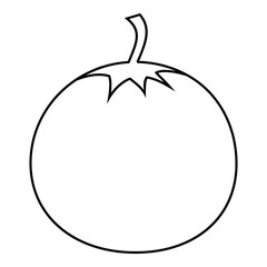Tomato icon. Outline illustration of tomato vector icon for web