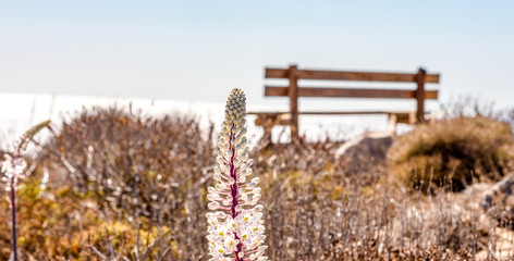 einsame Bank, Lieblingsplatz
