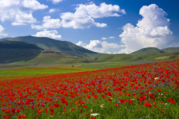 Castelluccio di Norcia prima del terremoto