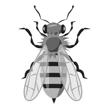 Insects bee icon. Gray monochrome illustration of insects bee vector icon for web