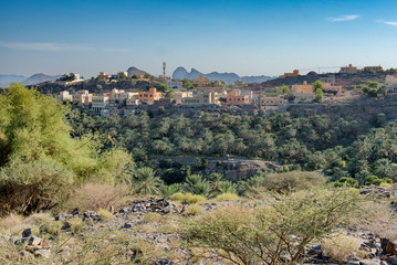 Houses on a mountain top amongst trees