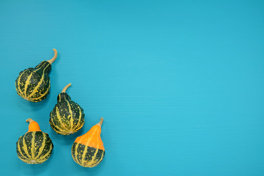 Green and yellow ornamental gourds on bright blue background