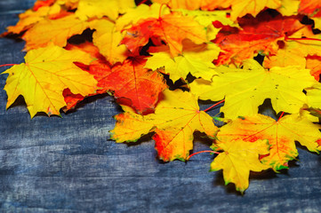 autumn yellow leaves on a wooden background