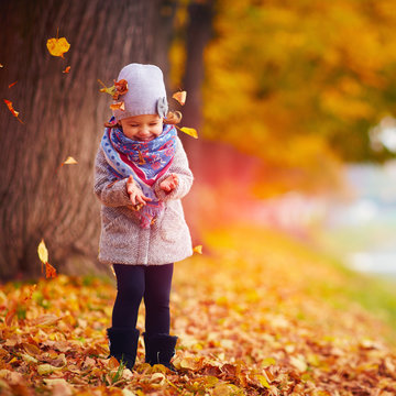 beautiful happy baby girl having fun in autumn park
