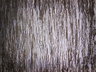 background made with a texture of a brown and white wall
