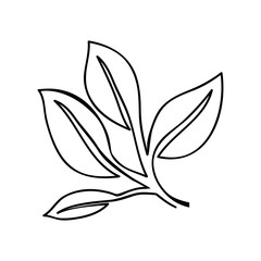 leaves or sprout icon image vector illustration design 