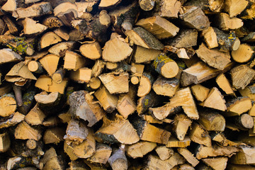 Firewood wall constuction in Germany